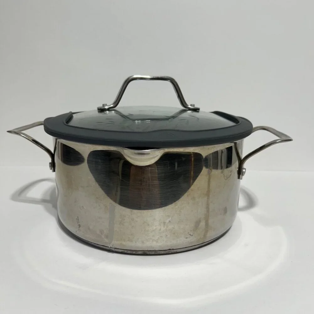 Princess House 5 Qt Stainless Steel Saucepan With Glass Lid & Pour Spouts
